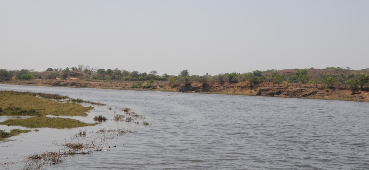 Image result for સુરત તાપી નદી