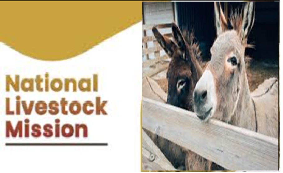 ગાય- ભેંસ છોડો, પાળો ગધેડા – સરકારી પૈસે !!!!!!