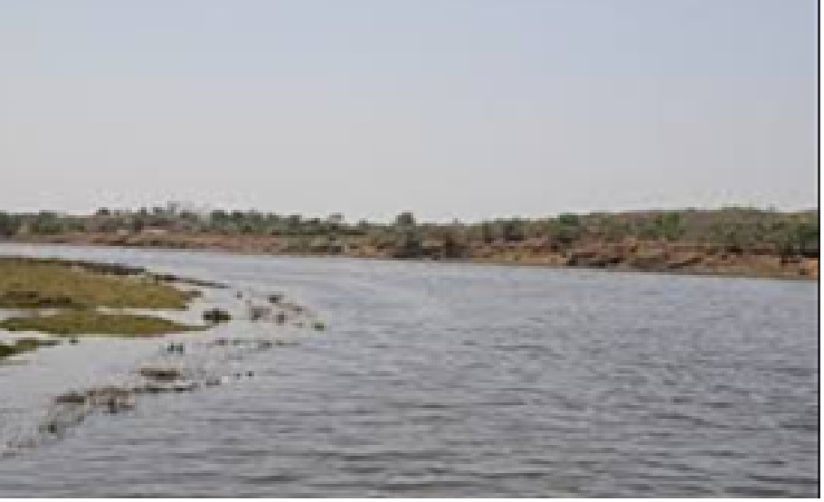 સુરત જિલ્લાના બારડોલી નજીક મીંઢોળા નદીમાં બે યુવાન ડૂબ્યા