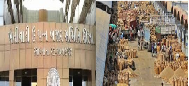 200થી 250 કન્ટેનર દરિયામાં અટવાયા: ઊંઝા APMC પર મિડલ-ઈસ્ટ તણાવનો ફટકો