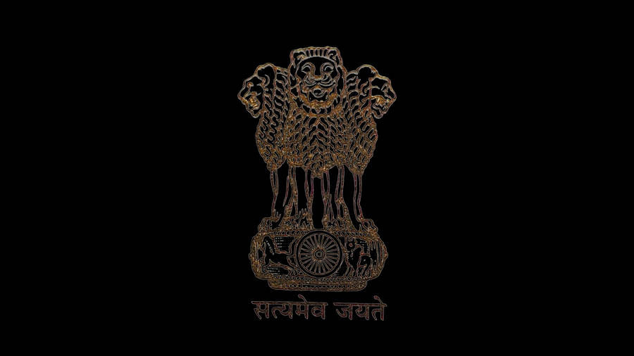UPSC Result 2026: ગુજરાતના ઉમેદવારોની પ્રેરણાદાયક સફળતા વાર્તાઓ