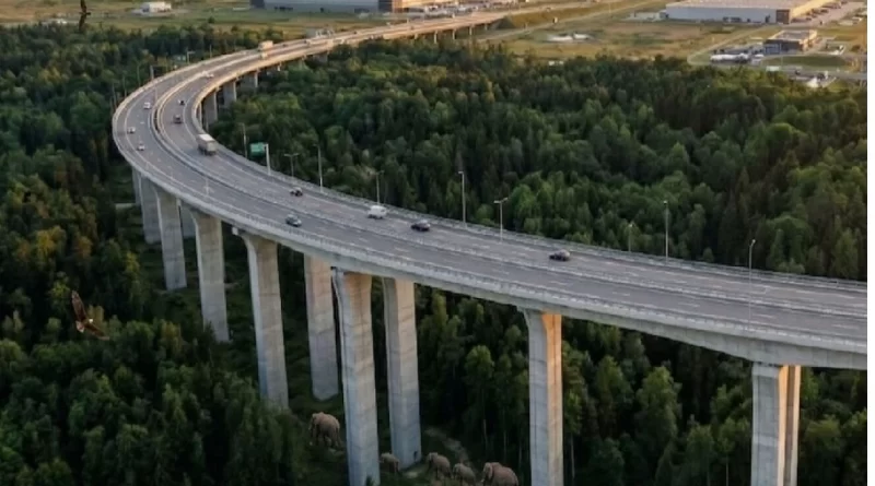 The Delhi–Dehradun Expressway (Delhi–Saharanpur–Dehradun Economic Corridor)
