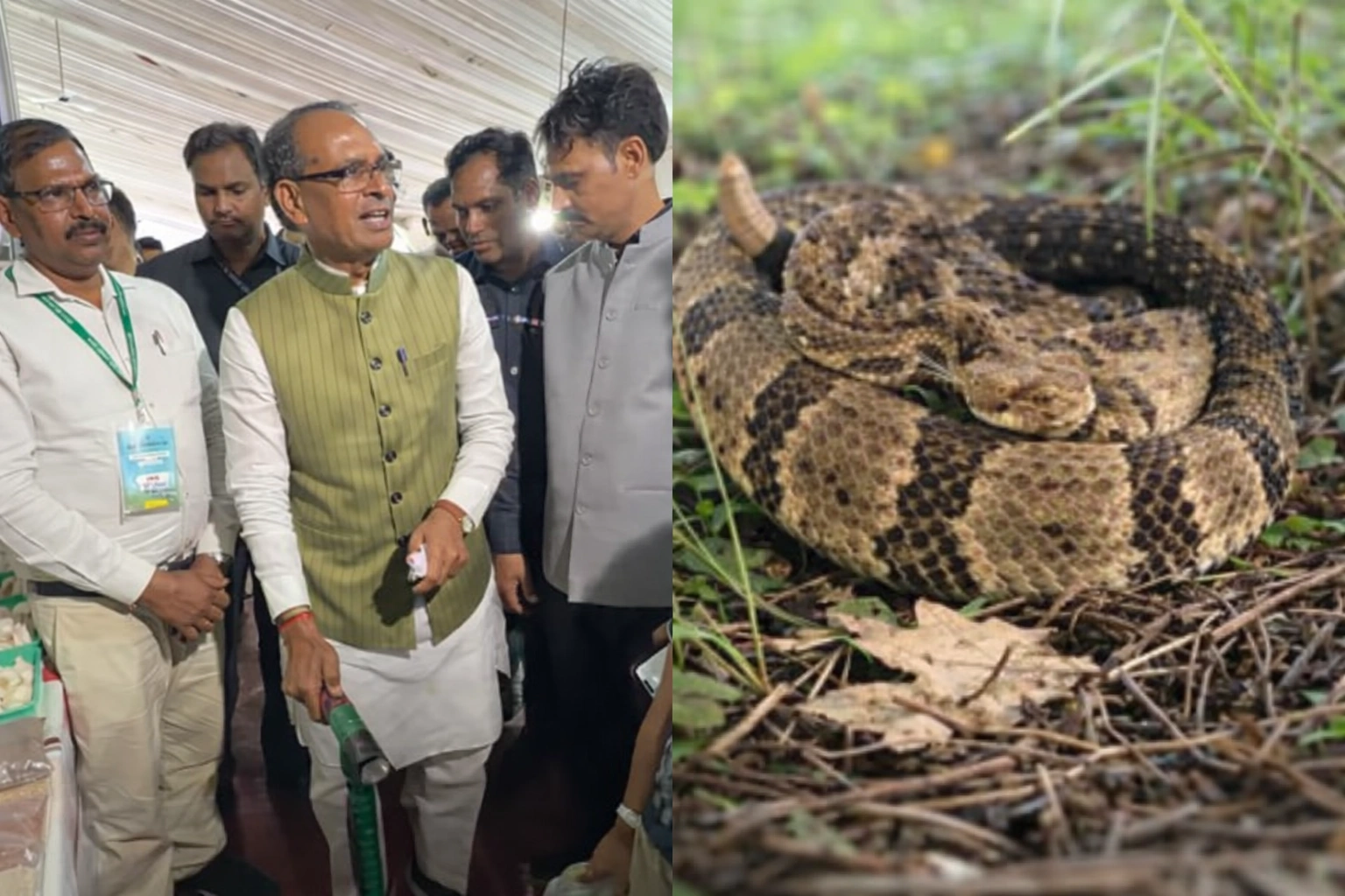 સાપથી બચાવની ક્રાંતિ! ખેડૂતો માટે આવી ગઈ સ્માર્ટ છડી