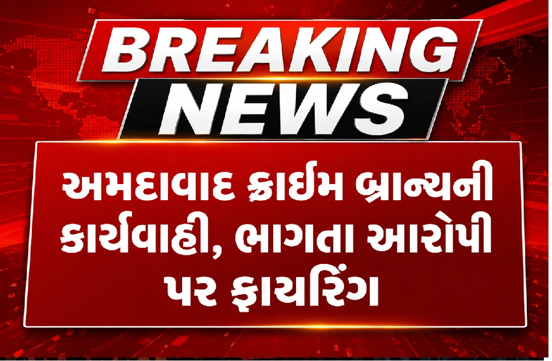 કોણ છે ધમા બારડ ?