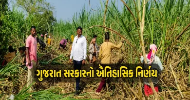 Gujarat Government Decision on Sugarcane Price Approval