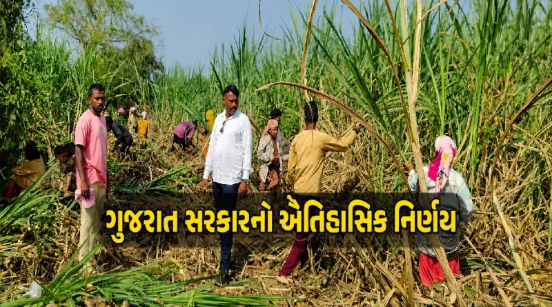 Gujarat Government Decision on Sugarcane Price Approval