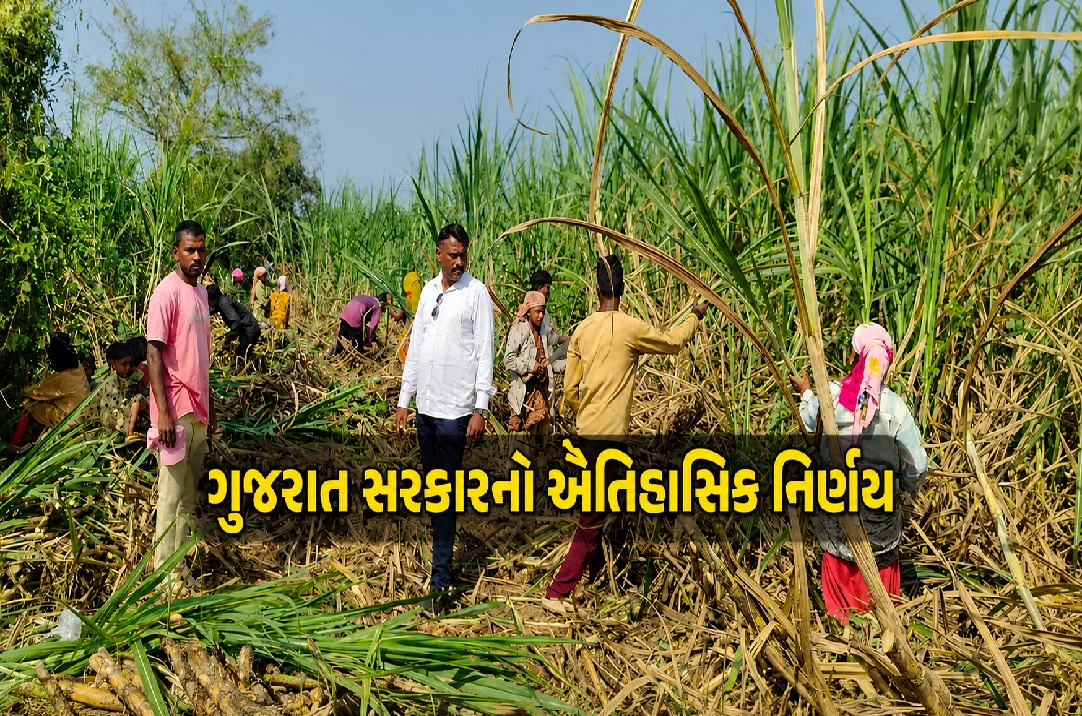ખાંડ સહકારી મંડળીઓ માટે ઐતિહાસિક નિર્ણય