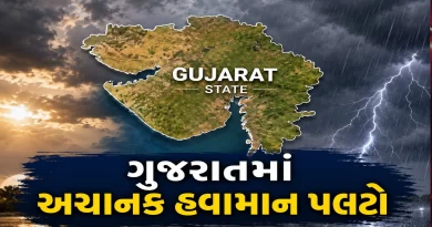 Gujarat Weather Update: Thunderstorm & Rain Alert for Next 24 Hours | IMD Forecast