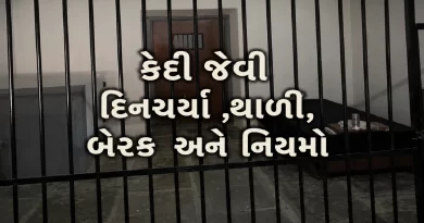 Hyderabad Chanchalguda Jail Feel The Jail Program