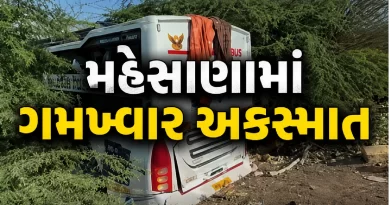 Mehsana Rajasthan Highway Accident