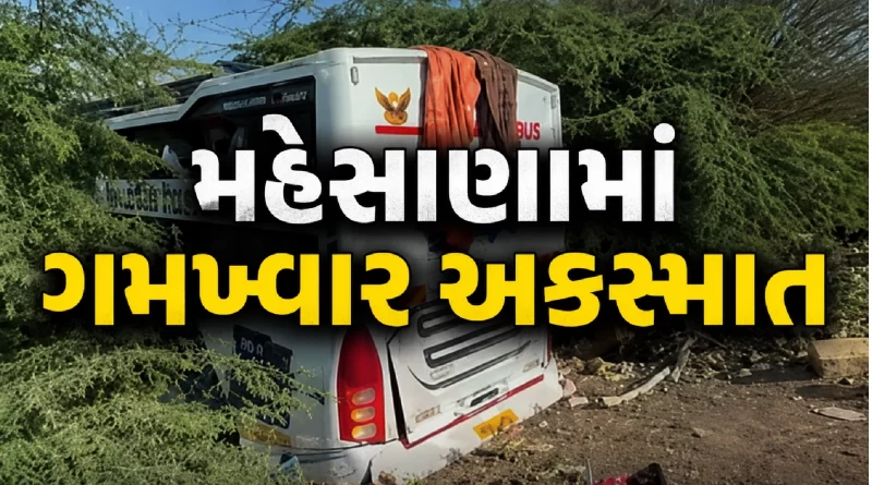 Mehsana Rajasthan Highway Accident