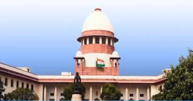 Supreme Court Rejects Pleas on Stray Dogs Removal Order