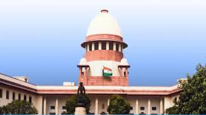 Supreme Court Rejects Pleas on Stray Dogs Removal Order