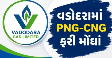 Vadodara Gas Hikes CNG PNG Gas Prices