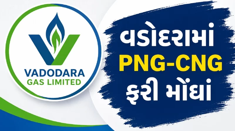 Vadodara Gas Hikes CNG PNG Gas Prices