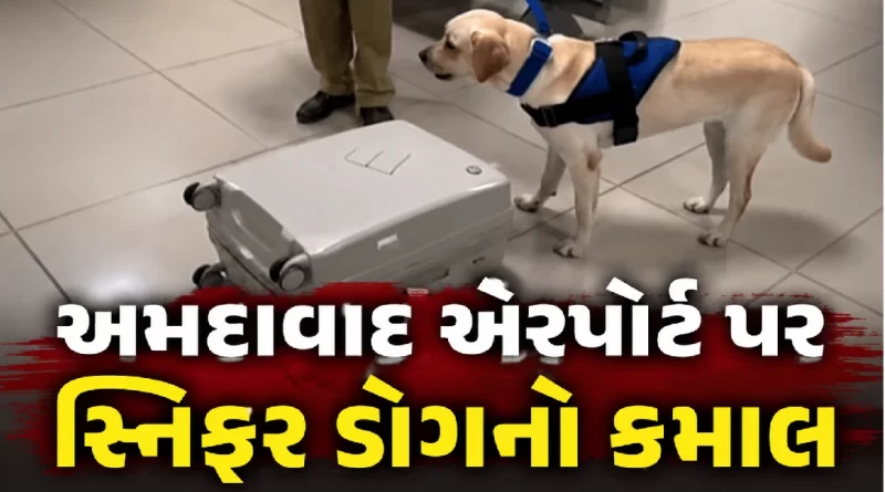 Ahmedabad Airport Drug Seizure