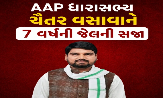 વસાવા સામે કેસ શું હતો ?