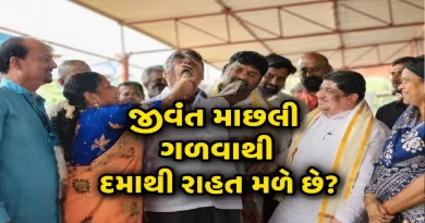 Fish Prasadam- Chepa Prasadam - Murrel Fish Medicine