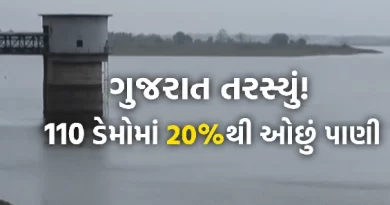 Gujarat Dam Water Level
