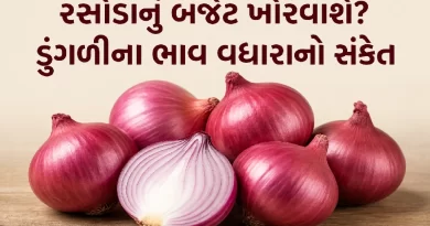 Onion Price Hike 2026