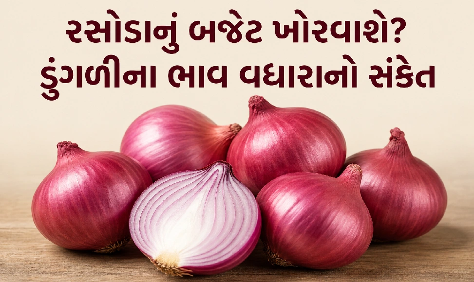 કેન્દ્રે ડુંગળીના ખરીદી ભાવ વધાર્યા