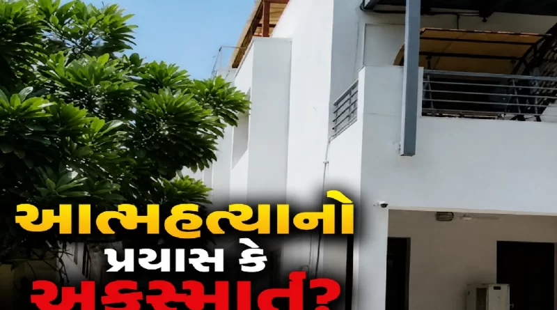 Service Rifle Gunshot Incident Gandhinagar