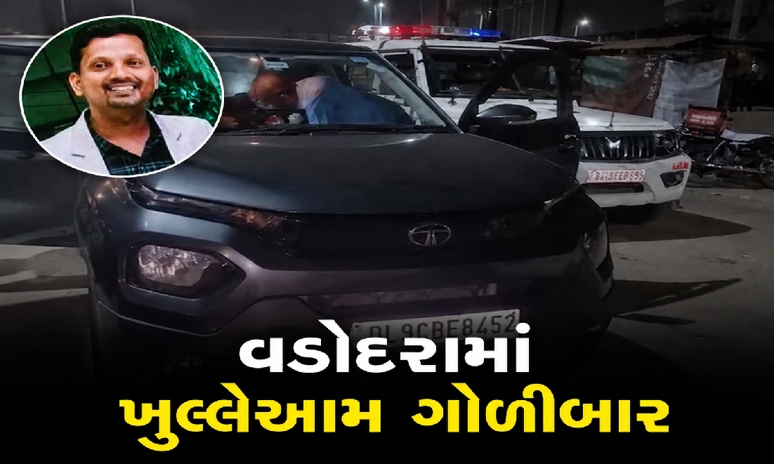 વાઘોડિયા ચોકડી પર ફિલ્મી હુમલો