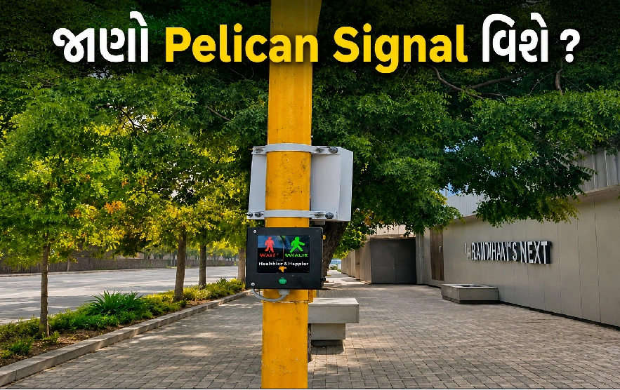 Municipal Market પાસે શરૂ થયું Pelican Signal ટ્રાયલ