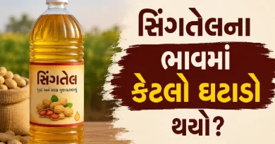 groundnut oil price drop