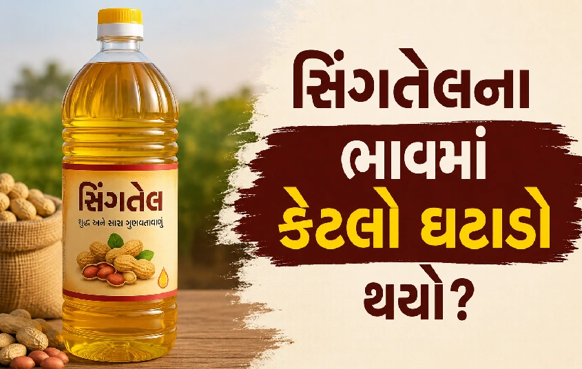મગફળીની વધતી આવકથી સિંગતેલ સસ્તું