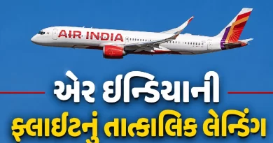 rajkot-hirasar-airport-bird-hit-air-india-emergency-landing-124-passengers-safe