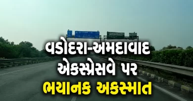 vadodara-ahmedabad-expressway-poicha-eco-car-fire-accident-man-burnt-alive