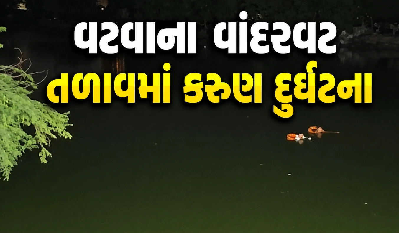 ફાયરબ્રિગેડનું રાતભર રેસ્ક્યૂ ઓપરેશન