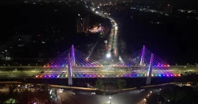 Bhat Circle Cable Stayed Bridge