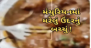 Dead Rat in Manchurian Surat