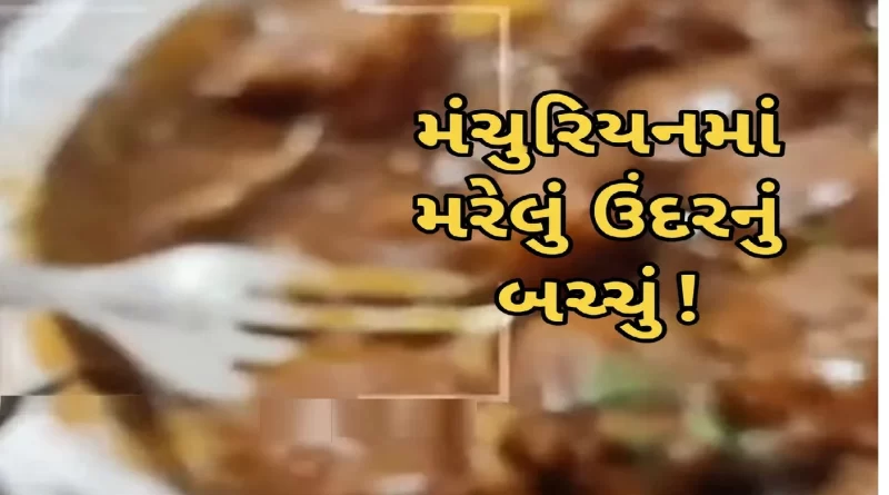 Dead Rat in Manchurian Surat