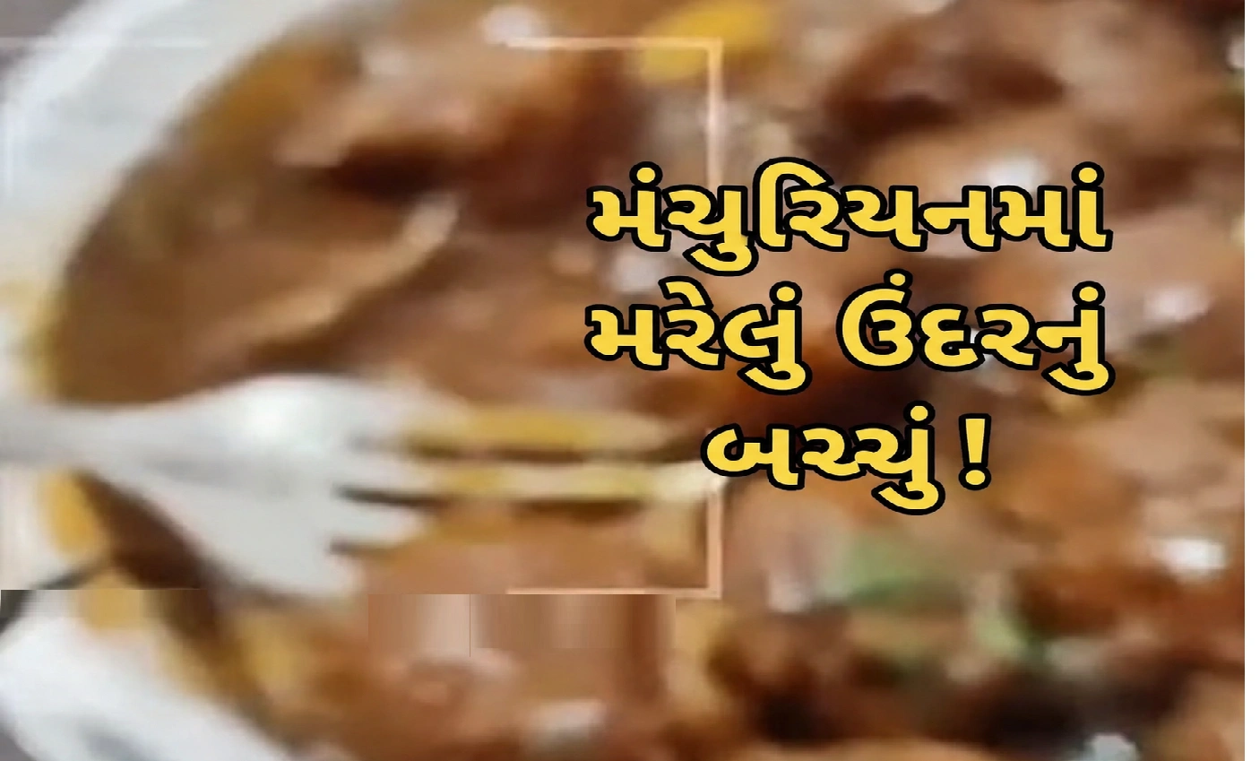 ગ્રાહકના ભોજનમાં નીકળ્યું મરેલું ઉંદર