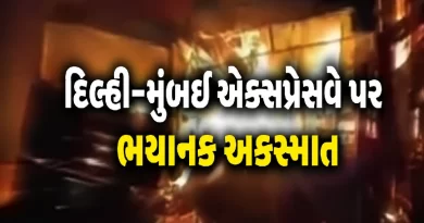 Delhi Mumbai Expressway accident