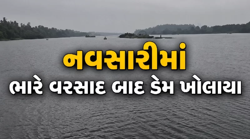 Devdha dam Ambika river Navsari 20 gates opened