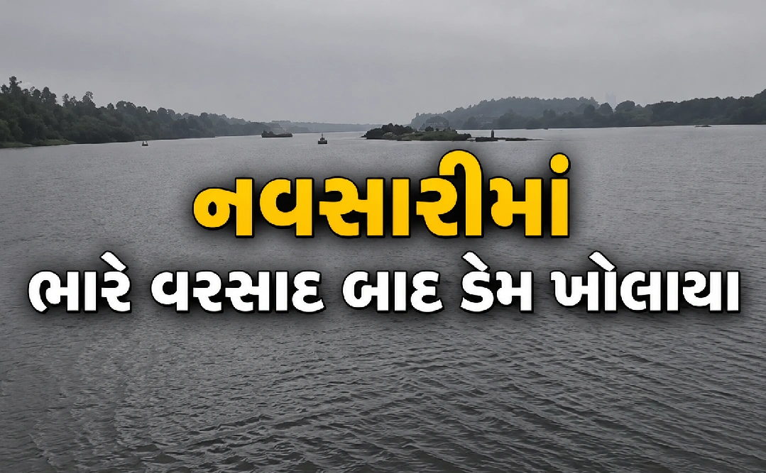 દેવધા ડેમના 20 દરવાજા ખોલાયા