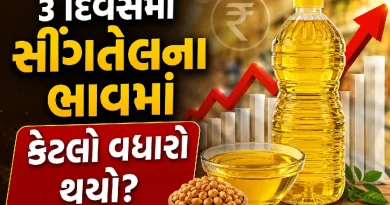 Edible Oil Price Gujarat