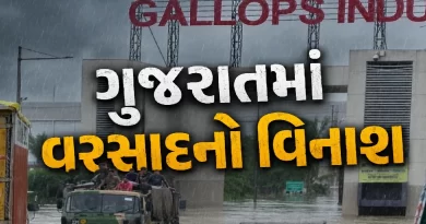 Flood News Gujarat