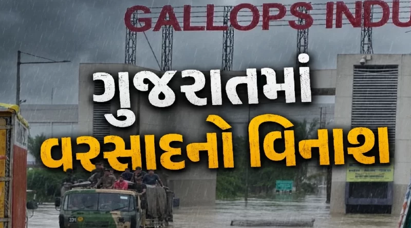Flood News Gujarat