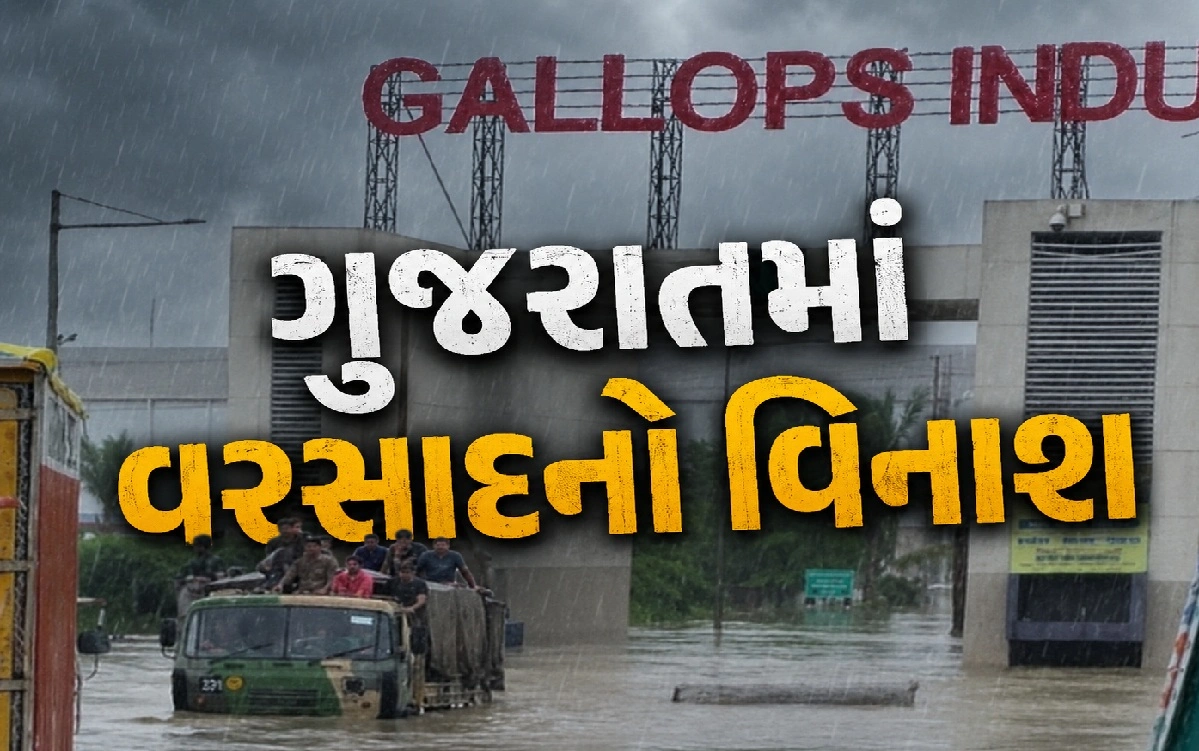 NDRF-સેના મેદાનમાં, ગુજરાત વરસાદ સામે લડી રહ્યું છે
