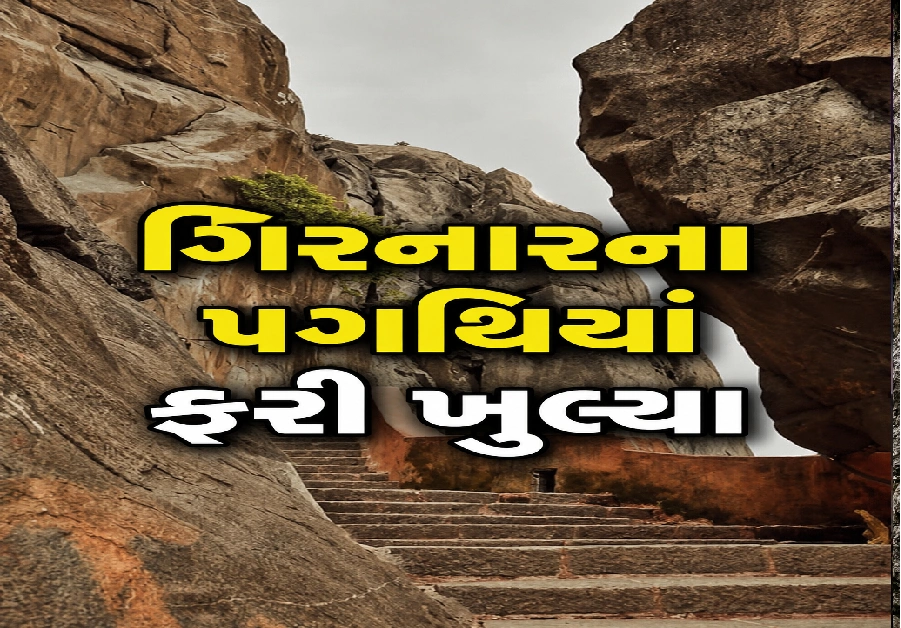 સિંહ હુમલા બાદ બંધ સીડી ભક્તો માટે ખુલ્લી