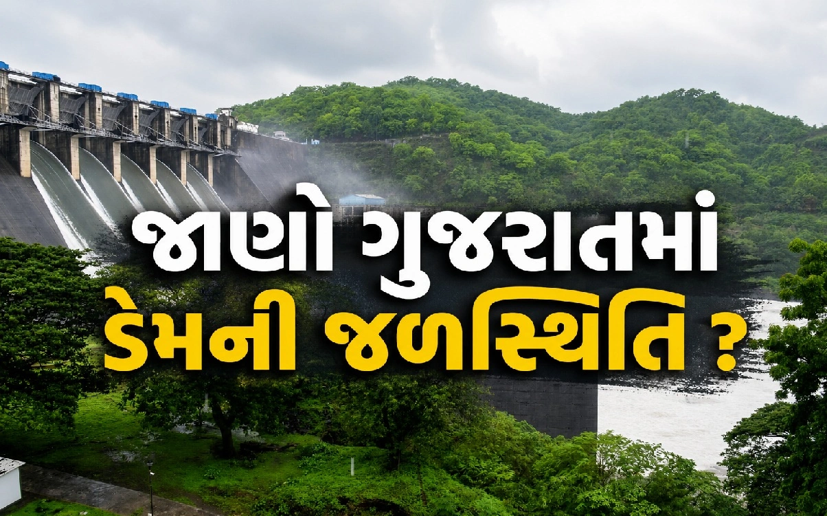 ડેમોમાં ઐતિહાસિક પાણીની આવક