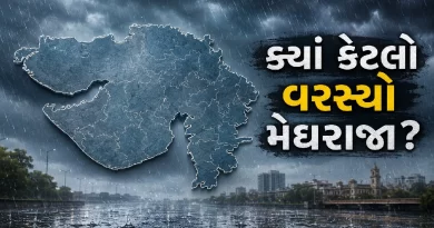 Gujarat Rainfall