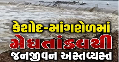 Junagadh Rain News