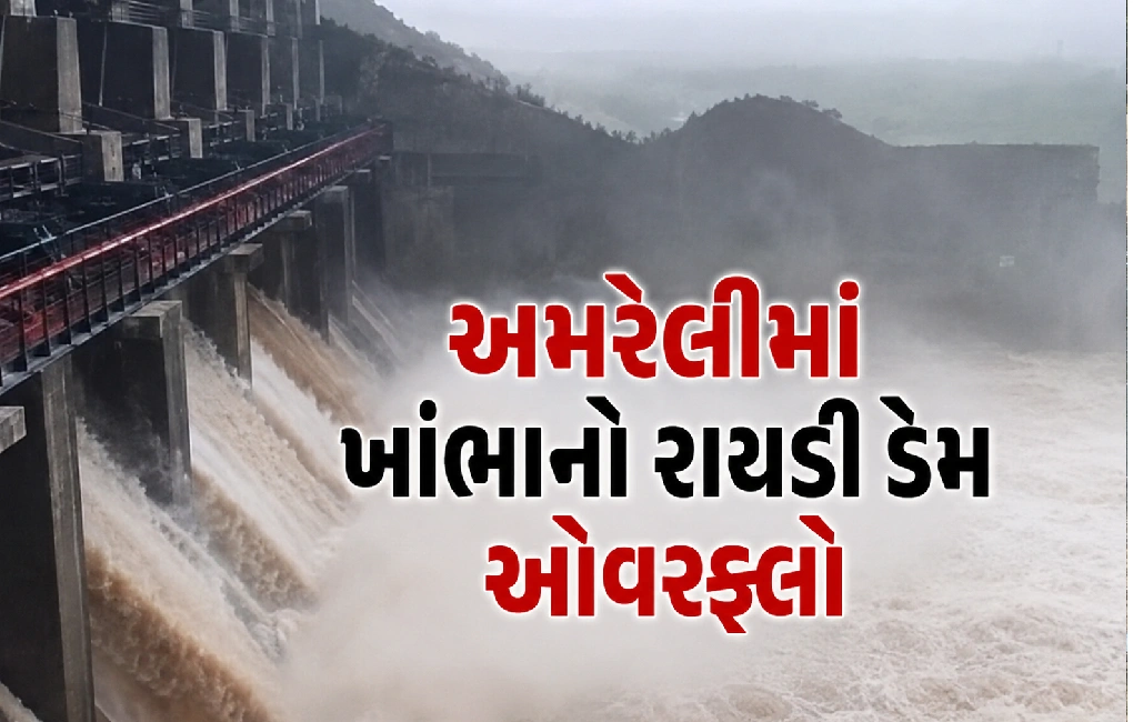 અમરેલીમાં મેઘતાંડવ, ડેમ ઓવરફ્લો અને શાળાઓ બંધ