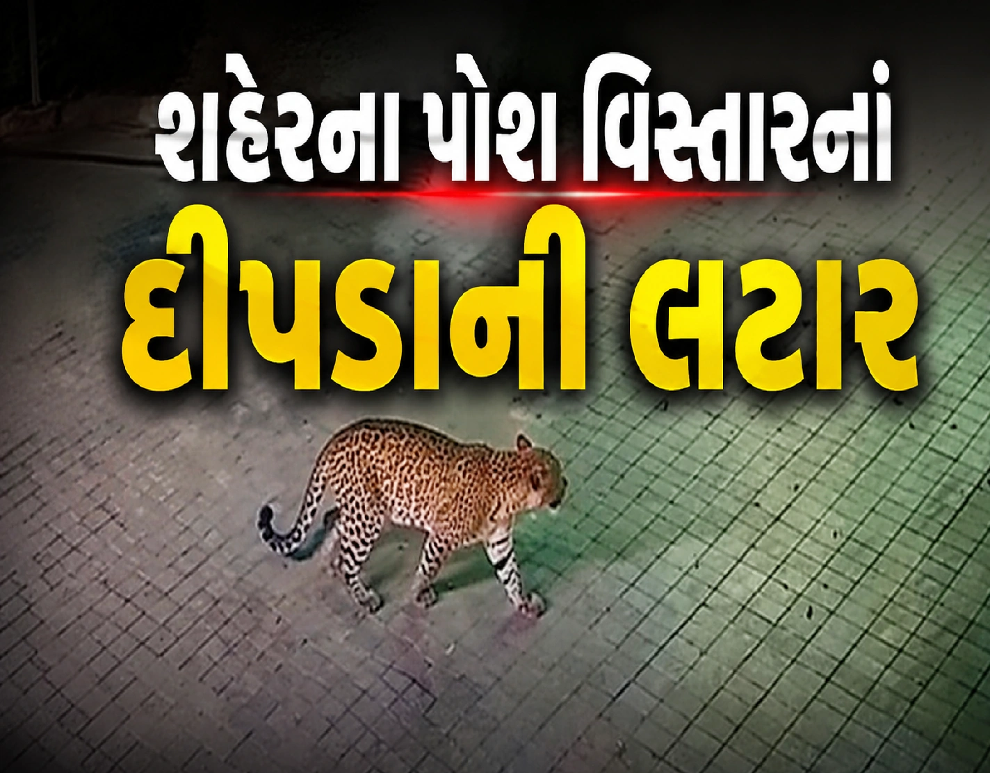 VIP રોડ પર CCTVમાં કેદ દ્રશ્યોથી લોકોમાં દહેશત